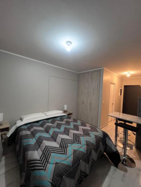 Departamento central, Pitrufquén